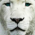 Roger Altayó - @rogeraltayo - Instagram