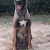 Roger Angles - @roger.angles - TikTok