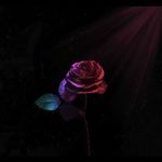 Anglina - @anglina_rogers - Instagram