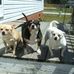 Roger Applewhite - Facebook