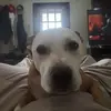 rogerbuckler - @rogerbuckler - TikTok
