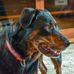 Roger Argo - Facebook