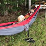 Roger Tharrington - @rogertharrington - Instagram