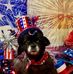 Roger Ashby - Facebook