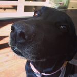 Roger Asher - @roger.asher - Instagram