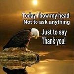 Roger Augustine - @roger.augustine - Instagram