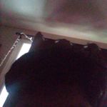 Roger Augustine - @rogeraugustine340 - Instagram