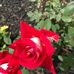 Roger Ault - Facebook