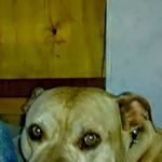 Roger Aultman - @aultmanroger - Instagram