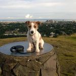 Roger Baird - @rogerbaird124gmail.com_ - Instagram