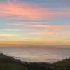 rogue_baldock - @rogue_baldock - TikTok