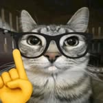 Roger barron - @roi1.0_ - Instagram