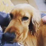 Roger Barry - @rog.barry - Instagram