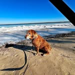 Roger Barry - @rogerhbarry - Instagram