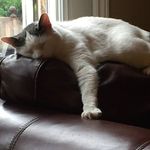 Roger Bartell - @bronteboy.1 - Instagram
