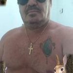 Rogerio Bartelli - @bartellirogerio - Instagram