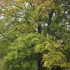 user1944006730046 - @rogerbar - TikTok