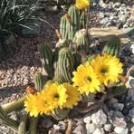 Roger Batson - Facebook