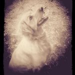 roger - @_roger_bean_ - Instagram