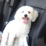 Roger Bean - @rogerbean313 - Instagram
