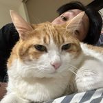 張家瑋 - @rogerbeancat - Instagram