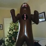 Roger Bear - @roger_the__bear - Instagram