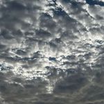 roger - @rogerbear58385 - Instagram
