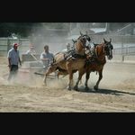 roger beeman - @beemanroger - Instagram