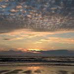 Roger van Beers - @roger.vanbeers - Instagram