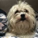 Roger Bergman - @bergman_roger - Instagram