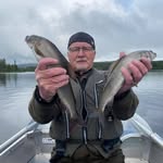 Roger Bergman - @roggabergman - Instagram
