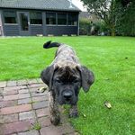 Roger Berkers - @roger_berkers - Instagram
