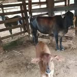 Roger Gonçalves - @rogerbernardino22 - Instagram