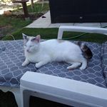 Roger Bernier - @rogerbernier818 - Instagram