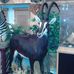 Roger Barthelotte - Facebook