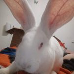 rogerbertrand - @roger_bertrandd - Instagram