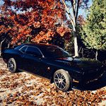 Roger Bevins - @rbevins1 - Instagram