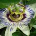 Roger Bigham - Facebook