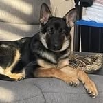 Roger Bissonnette - @rogerbissonnette - Instagram