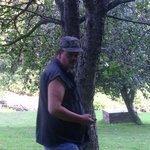 Roger Blair - @rogerblair2 - Instagram