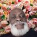 Roger Blaise - Facebook