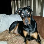 Roger Blaylock - Facebook