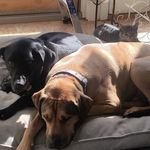 Roger Bloom - @dorkamahpotomus - Instagram