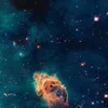 Roger Blue - @roger.blue4 - TikTok