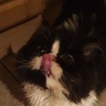 @blythe.rogers.14 - Instagram