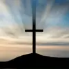 Roger Board - @the.man.of.steel94 - TikTok