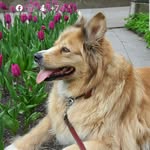 Roger Boissonneault - @boissonneaultroger - Instagram
