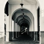 Roger Bosch - @rogerboschfotografie - Instagram