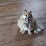 Roger Bowden - @roger.bowden53 - Instagram