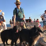 Roger Brain - @rboutabout - Instagram